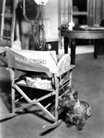Joan Crawford 1953 #2